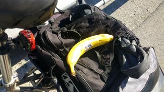 Found the bananas I lost yesterday