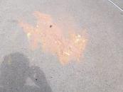 Right after I took off with Sarah, the gatorade powder exploded in my bag. This is the remnants.  Looks like puke.