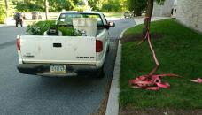 The dude that I believe cut my slackline.