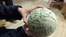 A close up of the cantelloupe