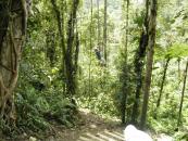 Enrique on a rope swing that we found hiking
