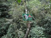 The 'slow down on the water slide' sign that nobody bothered to read to me